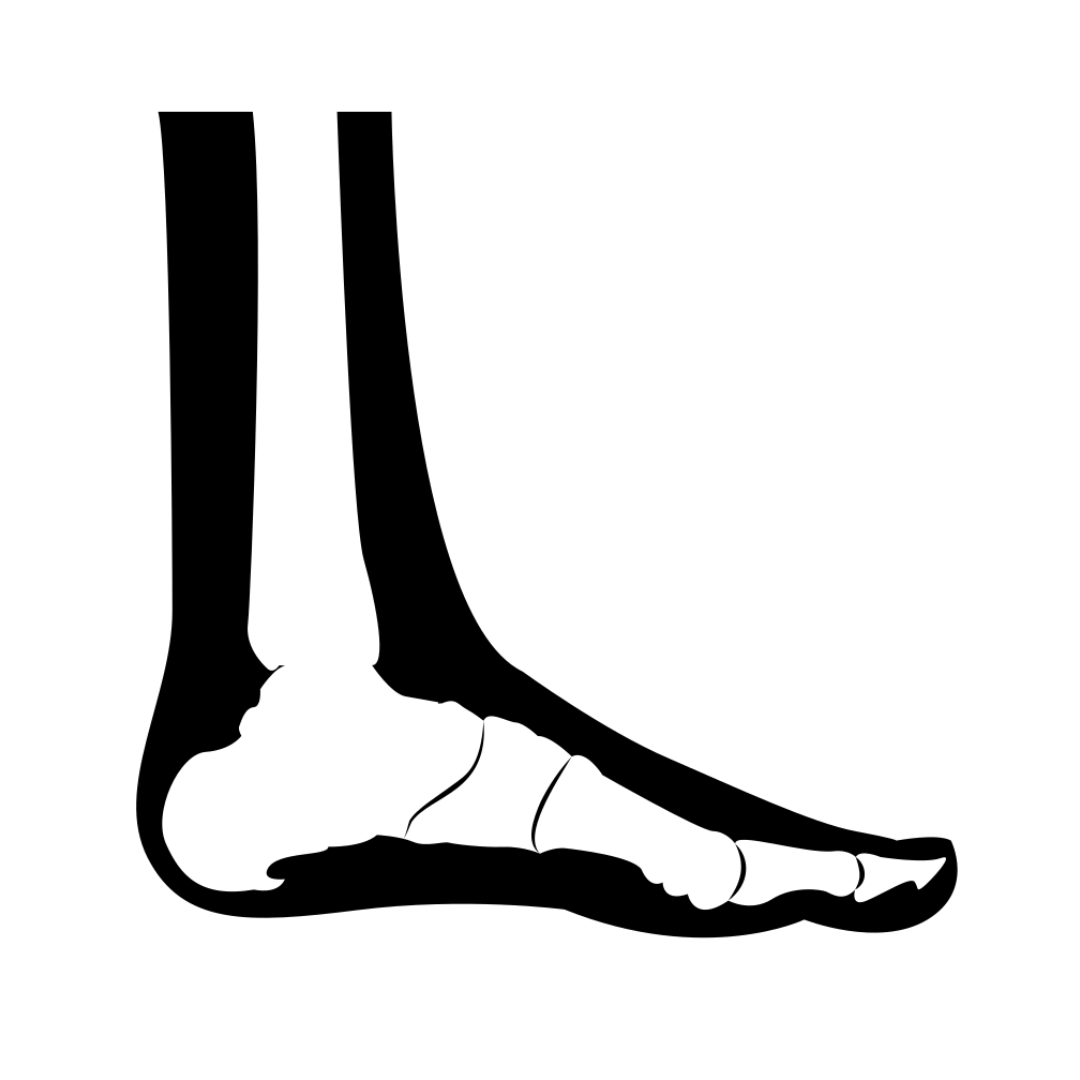 list item image